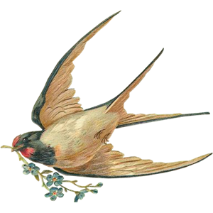 Swallow PNG-67370